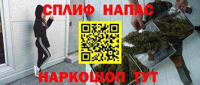 мяу мяу мука Будённовск