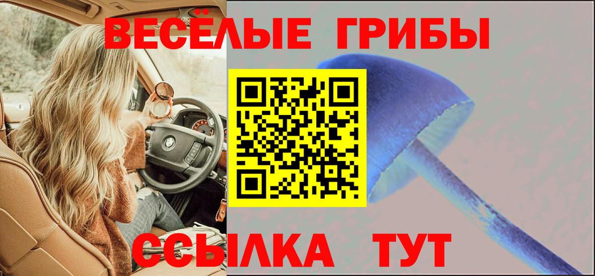 Псилоцибиновые грибы ЛСД Липецк