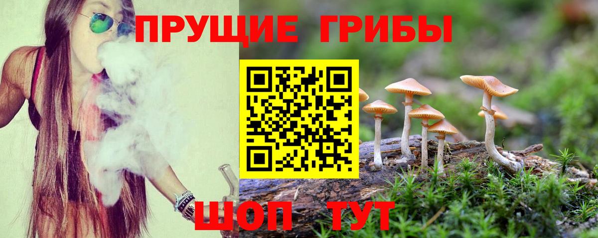 Липецк  Галлюциногенные грибы Psilocybine cubensis  где купить наркоту  Вход с VPN 